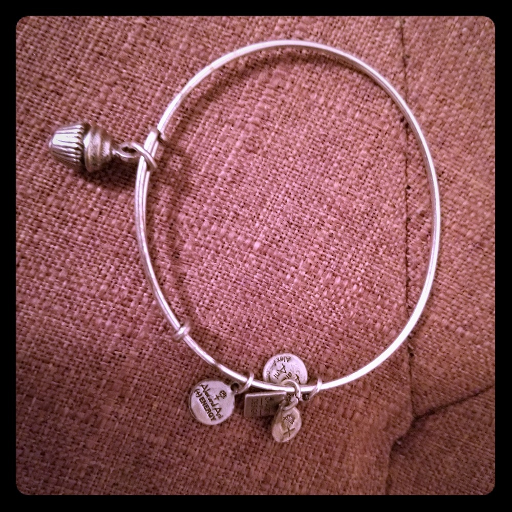 Alex and Ani Cupcake Bracelet